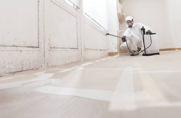 24/7 Emergency Commercial Mold Remediation experts in Carversville, PA